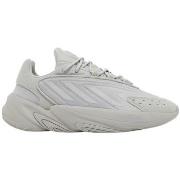 Lage Sneakers adidas Ozelia J "Grey Two"