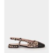 Ballerina's Pedro Miralles -