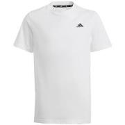 T-shirt Korte Mouw adidas -