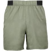 Korte Broek Peak Mountain SHORT DE RUNNING TRAIL CRAN HOMME