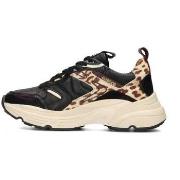 Lage Sneakers Haboob OLIVIA Baskets Femme