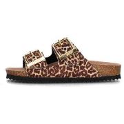 Slippers Colors of California HC.BIO502/LEO