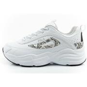 Lage Sneakers Fila Skye ZP