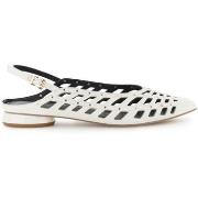 Ballerina's Café Noir C1EG4005