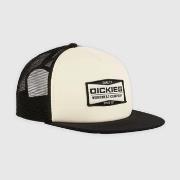 Pet Dickies Gorras Hombre Modèle Dk0a87ncblk1