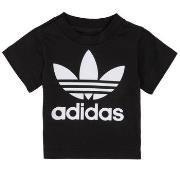 T-shirt Korte Mouw adidas MARGOT