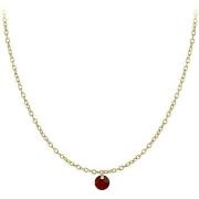 Collier Sc Crystal B2382-DORE-10001-ROUGE