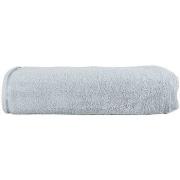 Serviettes et gants de toilette A&amp;r Towels RW6538