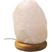 Lampes à poser Phoenix Import Mini lampe de sel de l?Himalaya avec lam...
