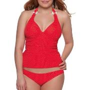 Maillots de bain Curvy Kate Plain Sailing