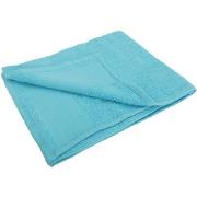 Serviettes et gants de toilette Sols 50 cm x 100 cm PC368