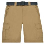 Short Columbia SILVER RIDGE II CARGO SHORT