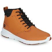 Baskets basses DC Shoes MASON 2