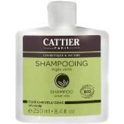 Shampooings Cattier Shampooing Cuir Chevelu Gras Argile Verte 250Ml