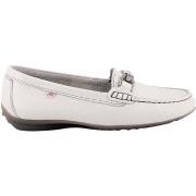 Ballerines Fluchos Bruni F0804