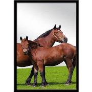 Miroirs Sud Trading Miroir rectangulaire cheval