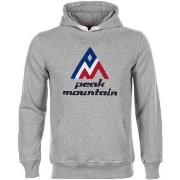 Sweat-shirt Peak Mountain Sweat à capuche homme CODRIVER