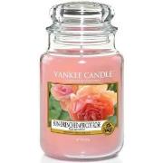 Eau de parfum Yankee Candle Vela Perfumada Sun-Drenched Apricot Rose 6...