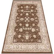 Tapis Rugsx Tapis MEFE moderne 2312 Ornement, cadre 160x220 cm