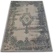 Tapis Rugsx Tapis Vintage Rosette 22206/085 gris 120x170 cm