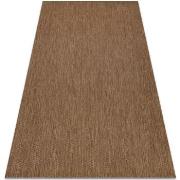 Tapis Rugsx Tapis EN CORDE SIZAL FLAT 48663/870 marron 80x150 cm