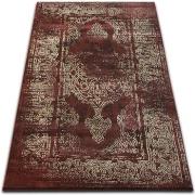 Tapis Rugsx Tapis DROP JASMINE 456 Rouillé/Beige foncé 240x330 cm