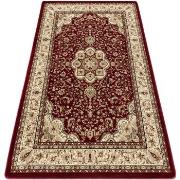 Tapis Rugsx Tapis ROYAL AGY modèle 0521 bordeaux 180x270 cm