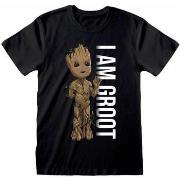 T-shirt Guardians Of The Galaxy I Am Groot