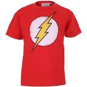 T-shirt enfant The Flash TV1006