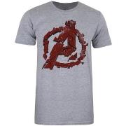 T-shirt Avengers Endgame TV1646