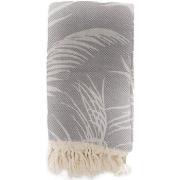 Serviettes de plage Fouta Futée AMAZON