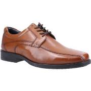 Derbies Hush puppies Brandon