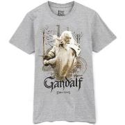 T-shirt The Lord Of The Rings NS6898