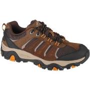 Chaussures Skechers Pine Trail - Kordova