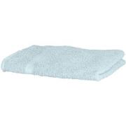 Serviettes et gants de toilette Towel City RW1576