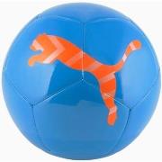 Ballons de sport Puma Icon Ball