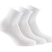 Socquettes Kindy Lot de 3 paires de socquettes en pur coton