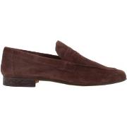 Chaussures Antica Cuoieria 20115-1-V07