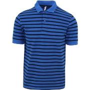 T-shirt Sun68 Polo Rayures Bleu Royal