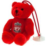 Accessoire sport Liverpool Fc Hang In There Buddy
