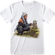 T-shirt Star Wars: The Mandalorian HE811