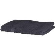 Serviettes et gants de toilette Towel City RW1577