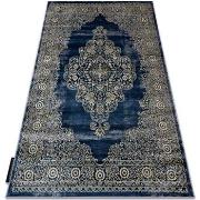 Tapis Rugsx Tapis DE LUXE moderne 474 Ornement - 160x220 cm