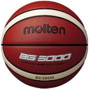 Ballons de sport Molten 3000