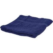 Serviettes et gants de toilette Towel City RW1586