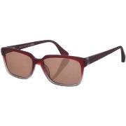 Lunettes de soleil Zen Z401-C02