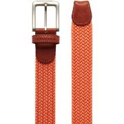 Ceinture Pullin Ceinture ORANGE