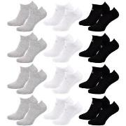 Chaussettes Sergio Tacchini Chaussettes Homme SNEAKER