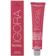 Colorations Schwarzkopf Igora Royal 9.5-1