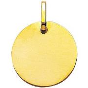 Pendentifs Brillaxis Plaque ronde en or jaune 9 carats